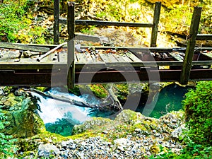 Amazing natural landscape of the Vintgar gorge