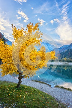 Amazing nature autumn landscape, Jasna lake in Triglav national park, Kranjska Gora, Slovenia. Outdoor travel background