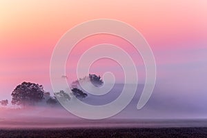 Amazing nature landscape in morning fog sunrise. Autumn scenic landscape of South Moravia in Czech Republic