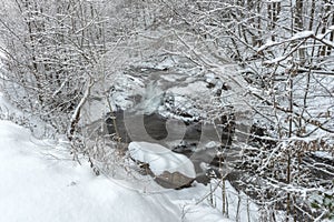 Amazing nature landscape with mountain creek and snow covered trees in the winter forest