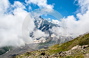 Amazing nature view of green mountain forest and tree growing on a rock, natural landscape perspective, Caucasus, Russia