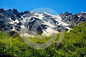 Amazing nature view of green mountain forest and tree growing on a rock, natural landscape perspective, Caucasus, Russia