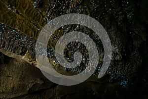 Amazing New Zealand Tourist attraction glowworm luminous worms in caves. High ISO Photo