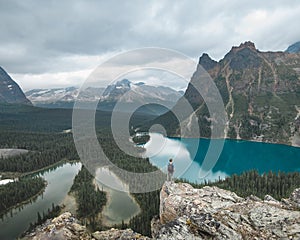 The amazing Opabin overlook that views Lake O`Hara