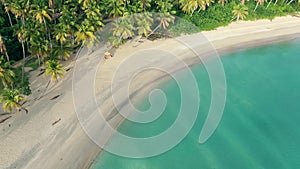 Amazing palms island. Turquoise sea water, white sand beach and toll palm trees