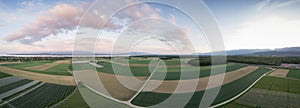 Amazing panorama of green fields