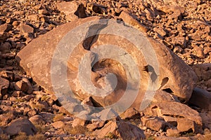 Amazing panorama of the Monastery of St. Catherine, Mount Moses, Sinai