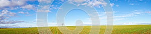 Amazing panoramic image of blue skies and white scattered clouds and green farmed ground with a single tree photo