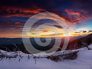 Amazing panoramic landscape in the winter mountains at sunrise . Dramatic morning sky. View of snow-covered trees and hills at dis