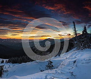 Amazing panoramic landscape in the winter mountains at sunrise . Dramatic morning sky. View of snow-covered trees and hills at dis