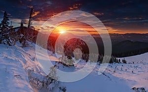 Amazing panoramic landscape in the winter mountains at sunrise . Dramatic morning sky. View of snow-covered trees and hills at dis