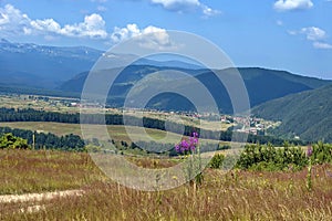 Amazing panoramic mountain vista