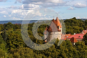 Amazing panoramic view of the city wall and towers Old Town of Tallin, Estonia