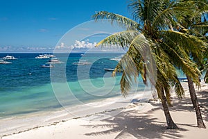 Amazing paradise Alona beach with palms in Bohol Panglao island, Philippines photo