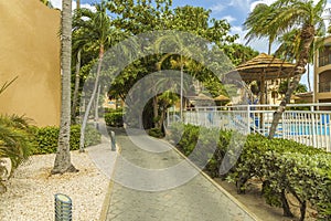 Amazing park area on Aruba Island. Nice nature landscape. Palm trees, bushes, plants.