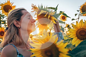 Amazing photo, beautiful young blonde woman standing among sunflowers with cloed eyes, bent a sunflower to her face