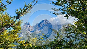 Beautiful tree and vegetation window effect with the stunning mountains of Picos de Europa at the botton photo