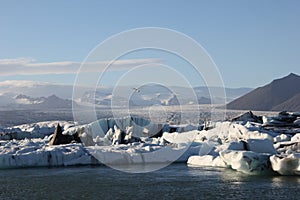 Amazing pieces of ice floes