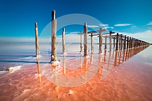 Amazing pink color salt lake and deep blue sky landscape