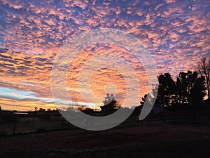 Amazing pink and orange sky Sunrise with horse in background