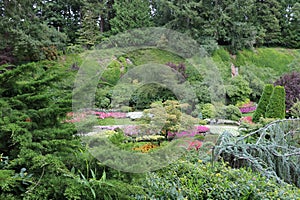 Amazing plant combinations in the Butchart Garden on Vancouver Island, British Columbia, Canada