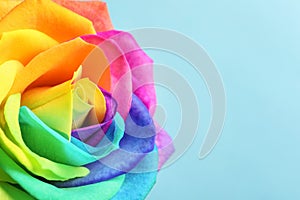 Amazing rainbow rose flower