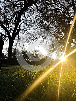 Amazing rays of sun during sunset