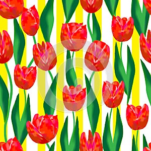 Amazing, red tulips and green leaves on a white background with yellow, narrow, vertical stripes.