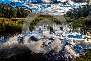 Amazing Reflections on the Marshy Still Waters of Creekfield Lake.