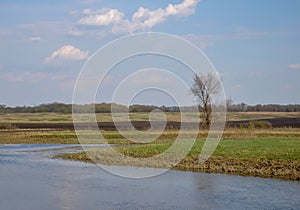 Amazing relaxing solitude spring landscape with river ,fields and lonely tree.Expanse of nature