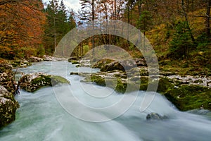 Amazing river in the mountains, Mostnica Korita, Julia alps