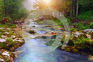 Amazing river in the mountains, Mostnica Korita, Julia alps