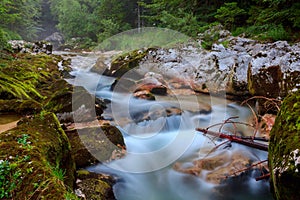 Amazing river in the mountains, Mostnica Korita, Julia alps