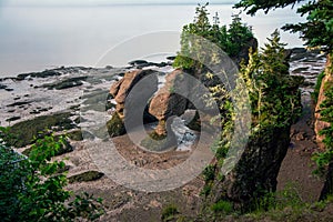 Amazing rock formations called the Hopewell Rocks or the Flowerpot Rocks photo