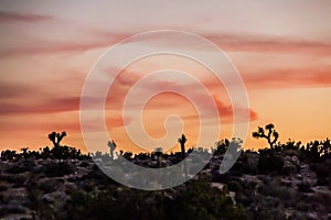 amazing rock formations in a desert landscape in Joshua Tree national park, California