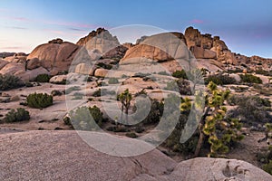 amazing rock formations in a desert landscape in Joshua Tree national park, California