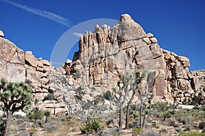 Amazing rock formations in Joshua Tree