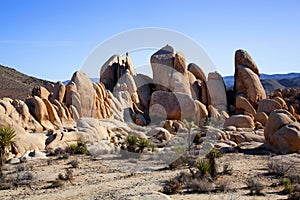 Amazing rock formations in Joshua Tree National Park