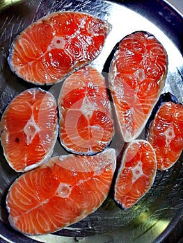 Amazing Salmon fish