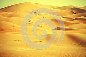 Amazing sand dune formations in Liwa oasis, United Arab Emirates