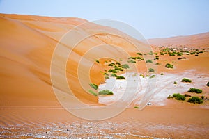 Amazing sand dune formations in Liwa oasis, United Arab Emirates