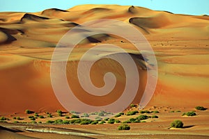 Amazing sand dune formations in Liwa oasis, United Arab Emirates