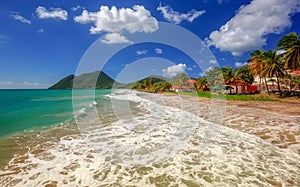 Le Diamant Beach with coconut palm tree and blue sky, Martinique, Caribbean photo