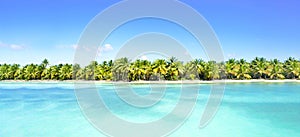 Amazing sandy beach with coconut palm trees and blue sky. Caribbean Sea coast