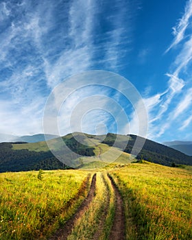 Amazing scene on summer mountains