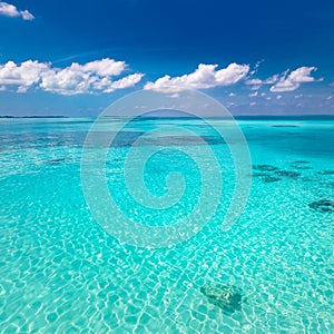 Sorprendente il mare Oceano. bellissimo tropicale natura laguna baia soleggiato nuvoloso cielo blu. paese balneare 