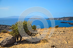 Amazing Seascape from the hill near Bodrum, Turkey. Beautiful tree and srone in front background