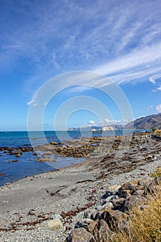 Amazing seascape view near Kaikoura, New Zealand
