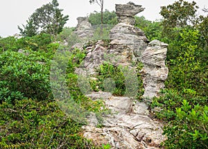 Amazing Shape of Natural Old Stone