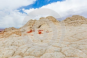 Amazing shapes and colors of moonlike sandstone formations in White Pocket, Arizona, USA